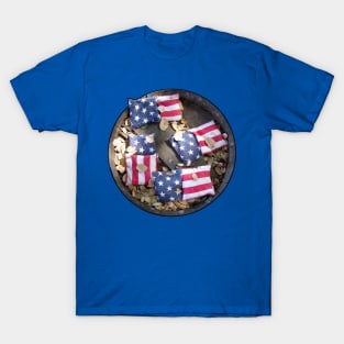 Corn Hole Patriot T-Shirt
